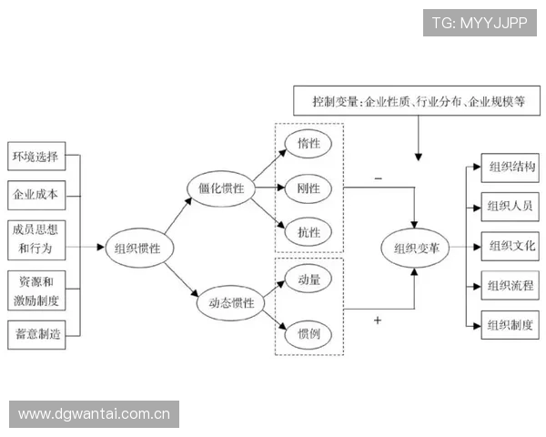 世界桑搏锦标赛战术配合的逻辑框架解析谈